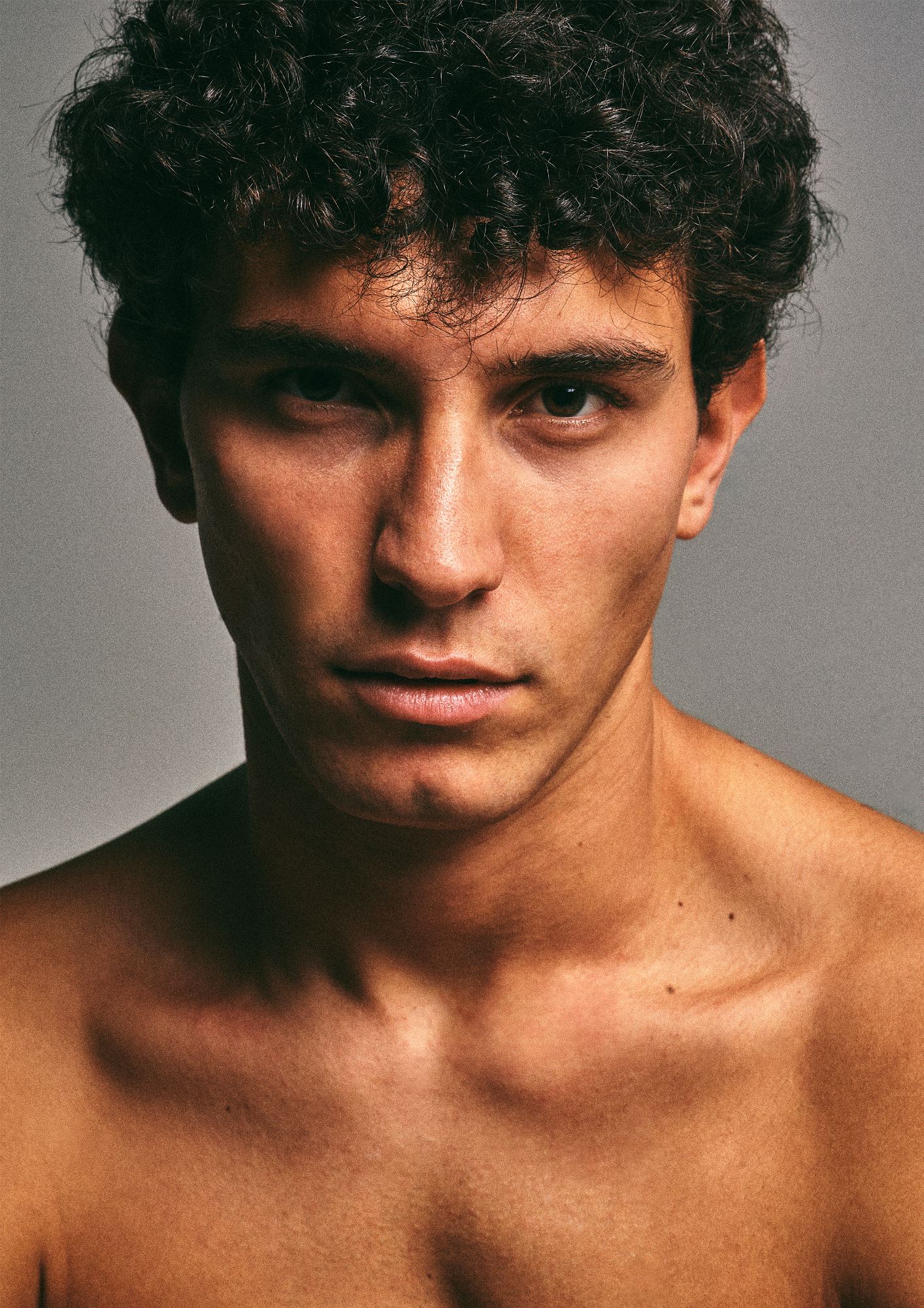 Francesco Sellitto